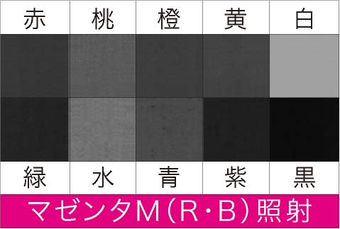 マゼンタM（RB）照射