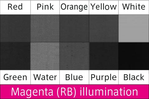 Magenta(RB)illumination